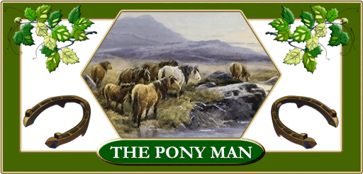 Pony Man